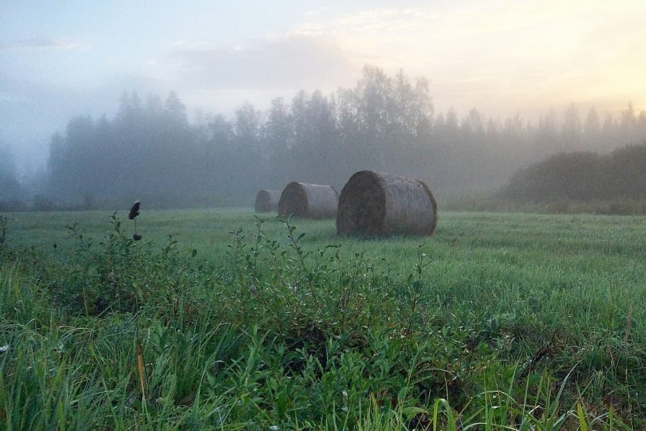 Pohjois-Karjala